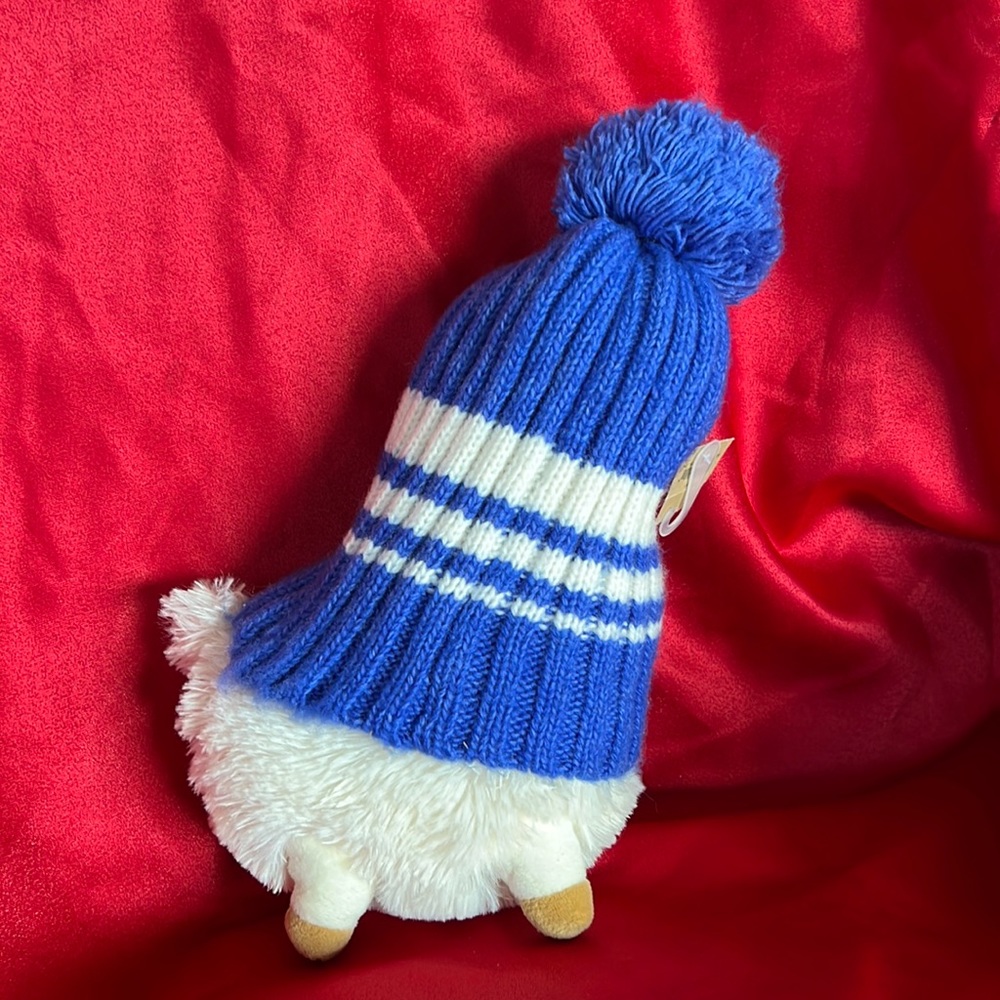 NWT American Eagle outfitters, pompom hat.